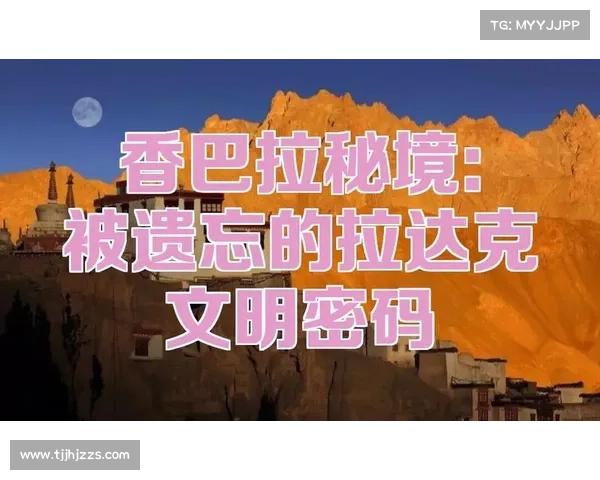 揭开历史的面纱探寻被遗忘的秘密与隐藏的真相 揭开历史的面纱探寻被遗忘的秘密与隐藏的真相
