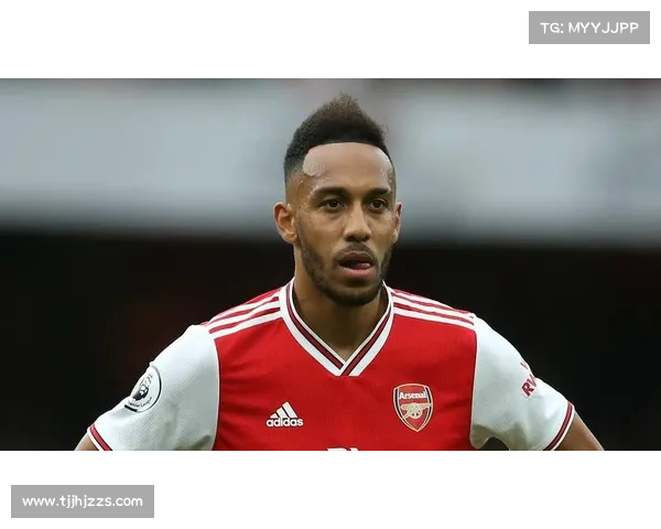 奥巴梅扬国际选择背后的动因与影响解析